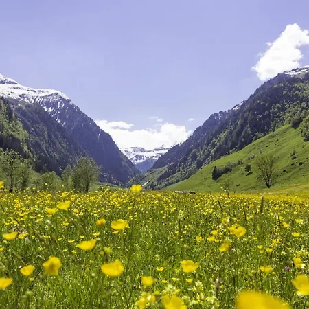 Bergmoment Апартаменты *