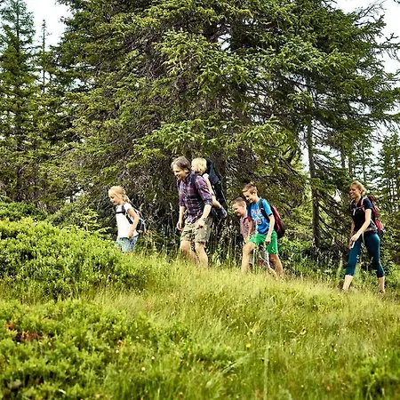 Апартаменты Bergmoment