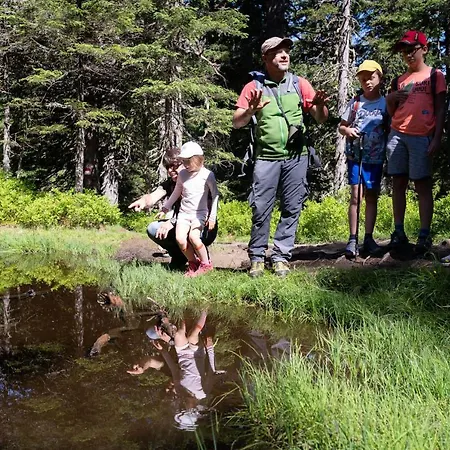 Апартаменты Bergmoment *